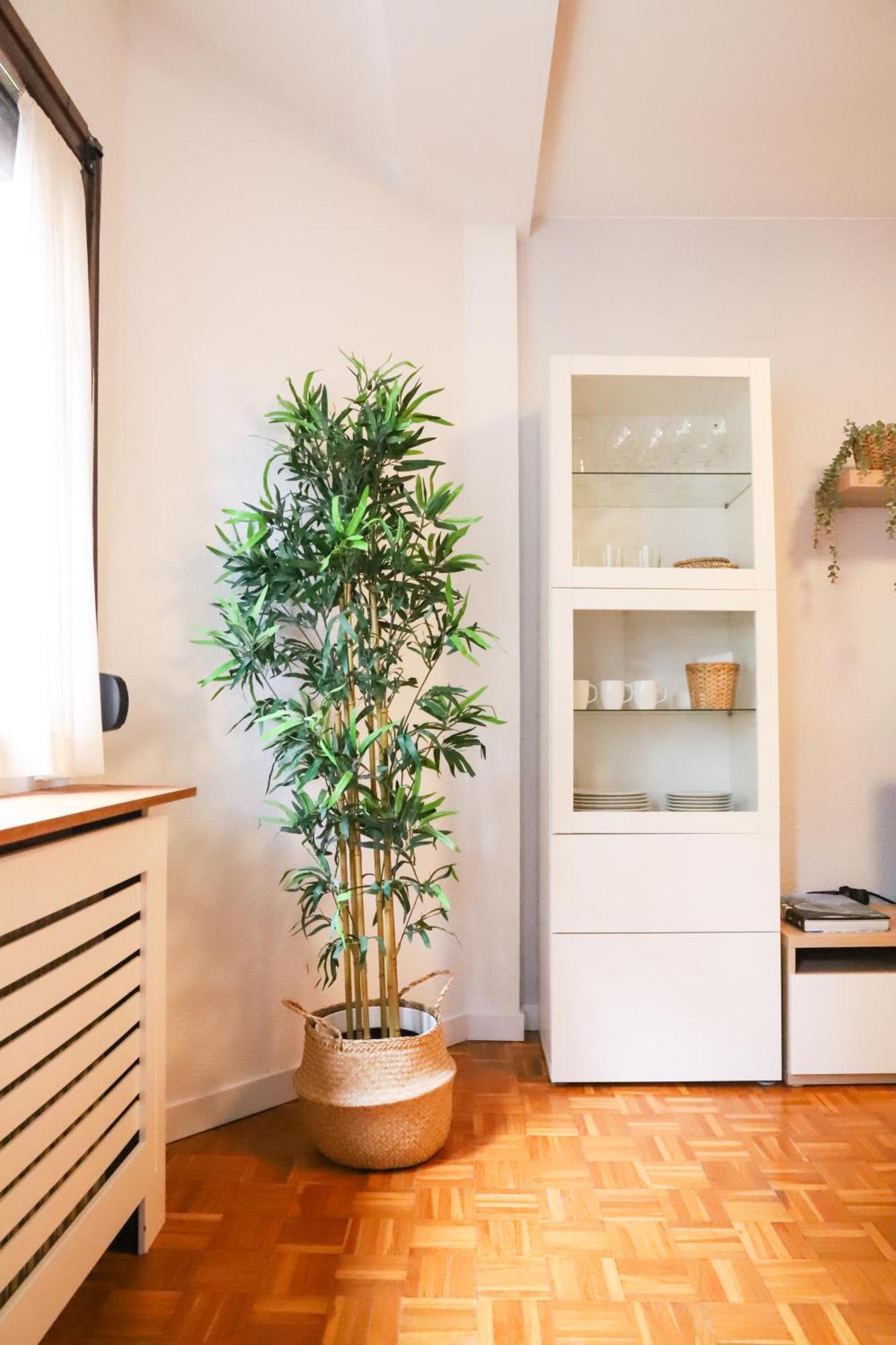 Casa Aspe Jaca Apartment Bagian luar foto